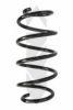 SPIDAN 86694 Coil Spring